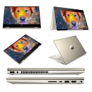 Laptop HP Pavilion x360 14-dy0076TU (46L94PA)  i5 1135G7 l 8GB l 512GB l 14.0